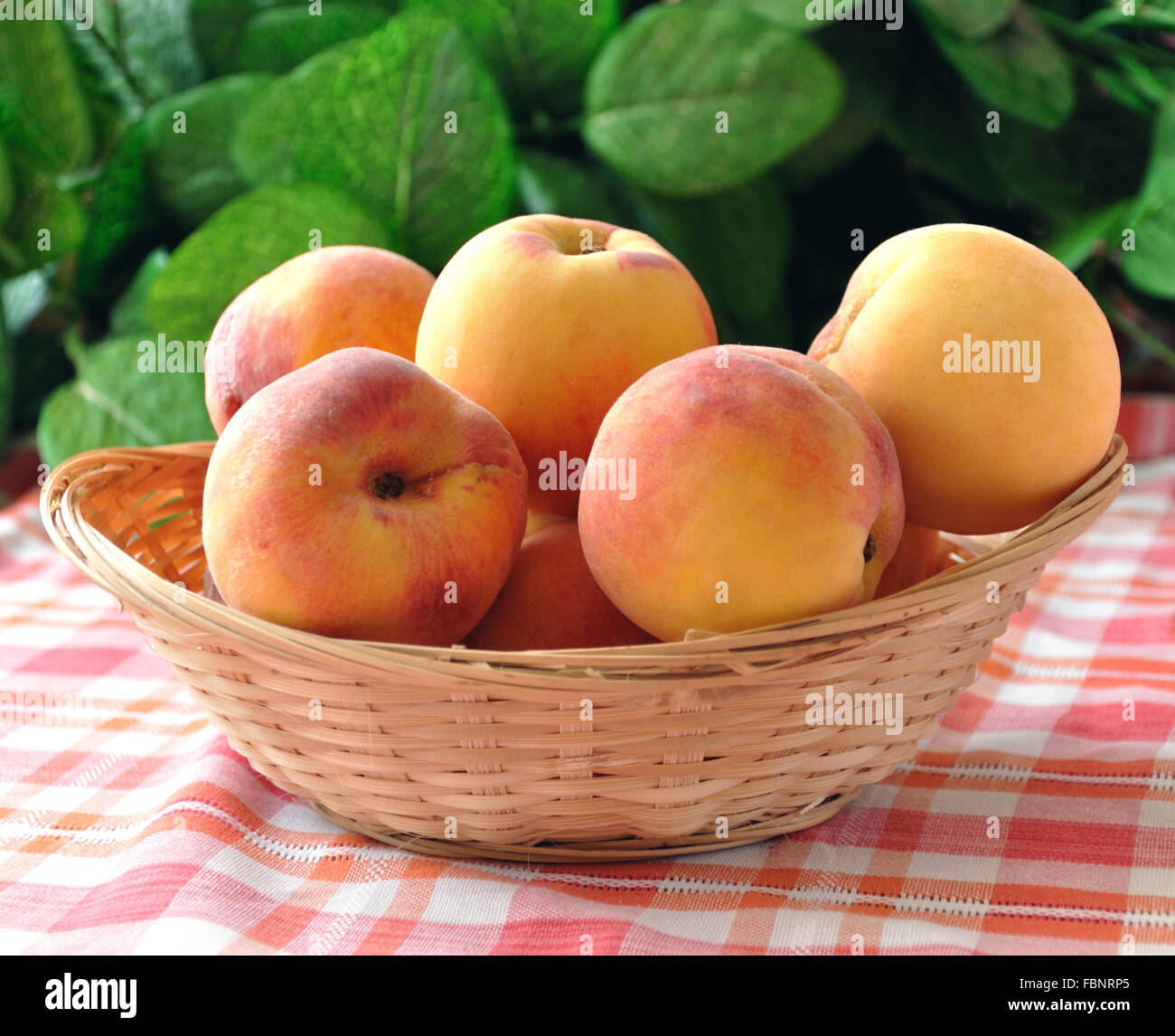 With peaches in a wicker basket on the tablecloth, on a background of foliage Stock Photo