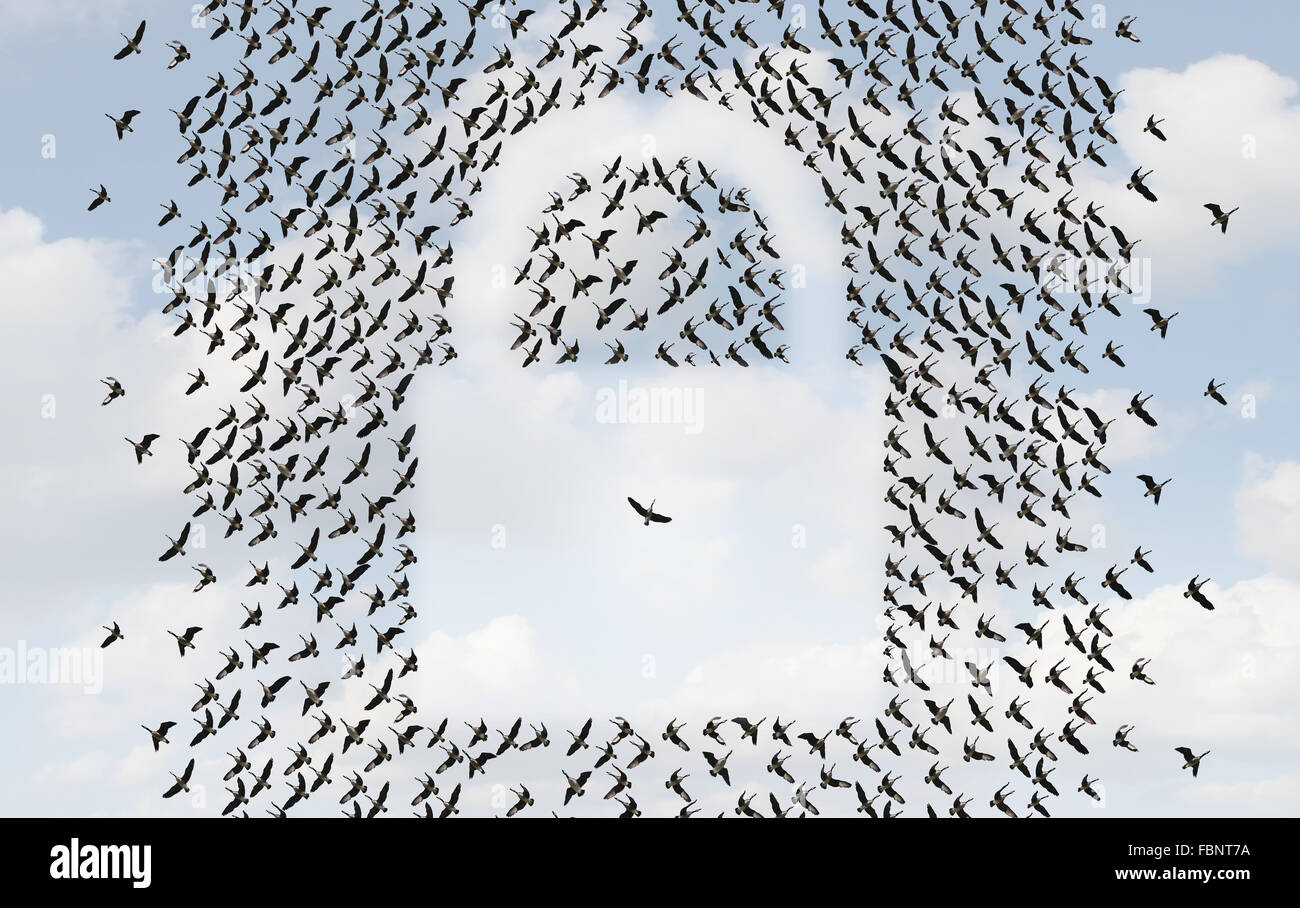 Group protection concept and security network symbol as a flock of birds flying in the sky shaped as a lock with an individual bird protected inside by an organized team shielded by danger. Stock Photo