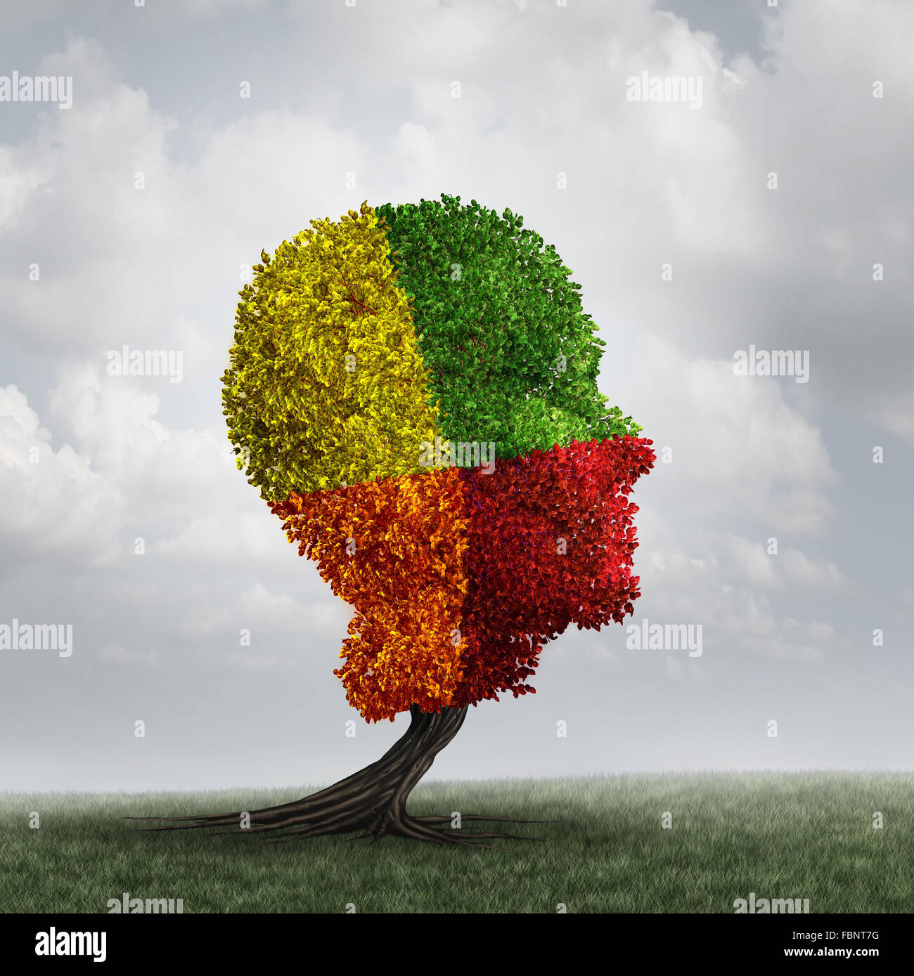 Human mood psychology change as a human head tree with changing leaf color as a mental health metaphor for brain thinking disorder and neurology chemistry imbalance or personality changes symbol. Stock Photo