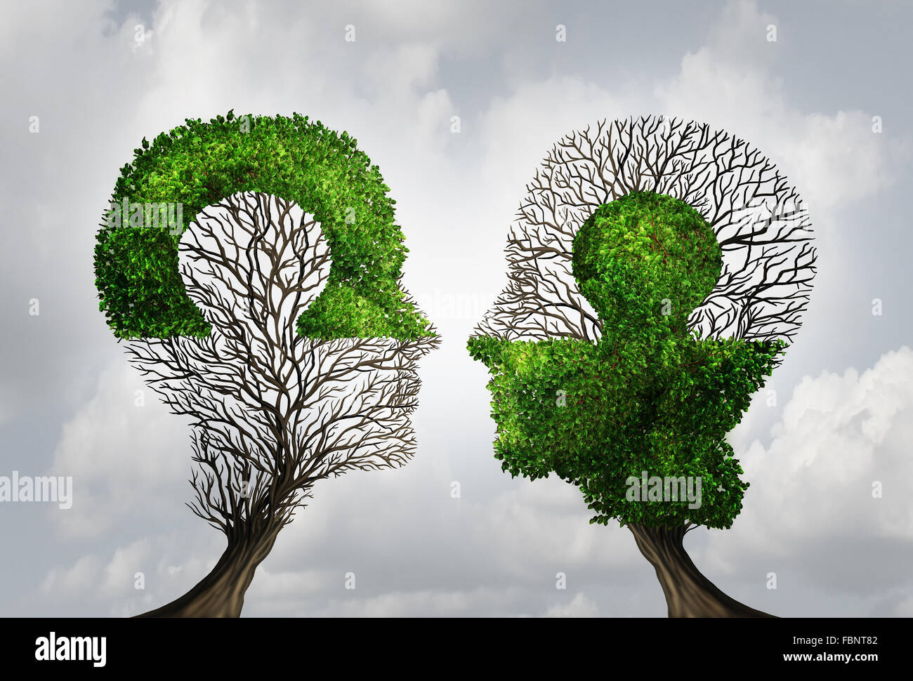Perfect business partnership as a connecting puzzle shaped as two trees in the form of human heads connecting together to complete each other as a corporate success metaphor for cooperation and agreement as equal partners. Stock Photo