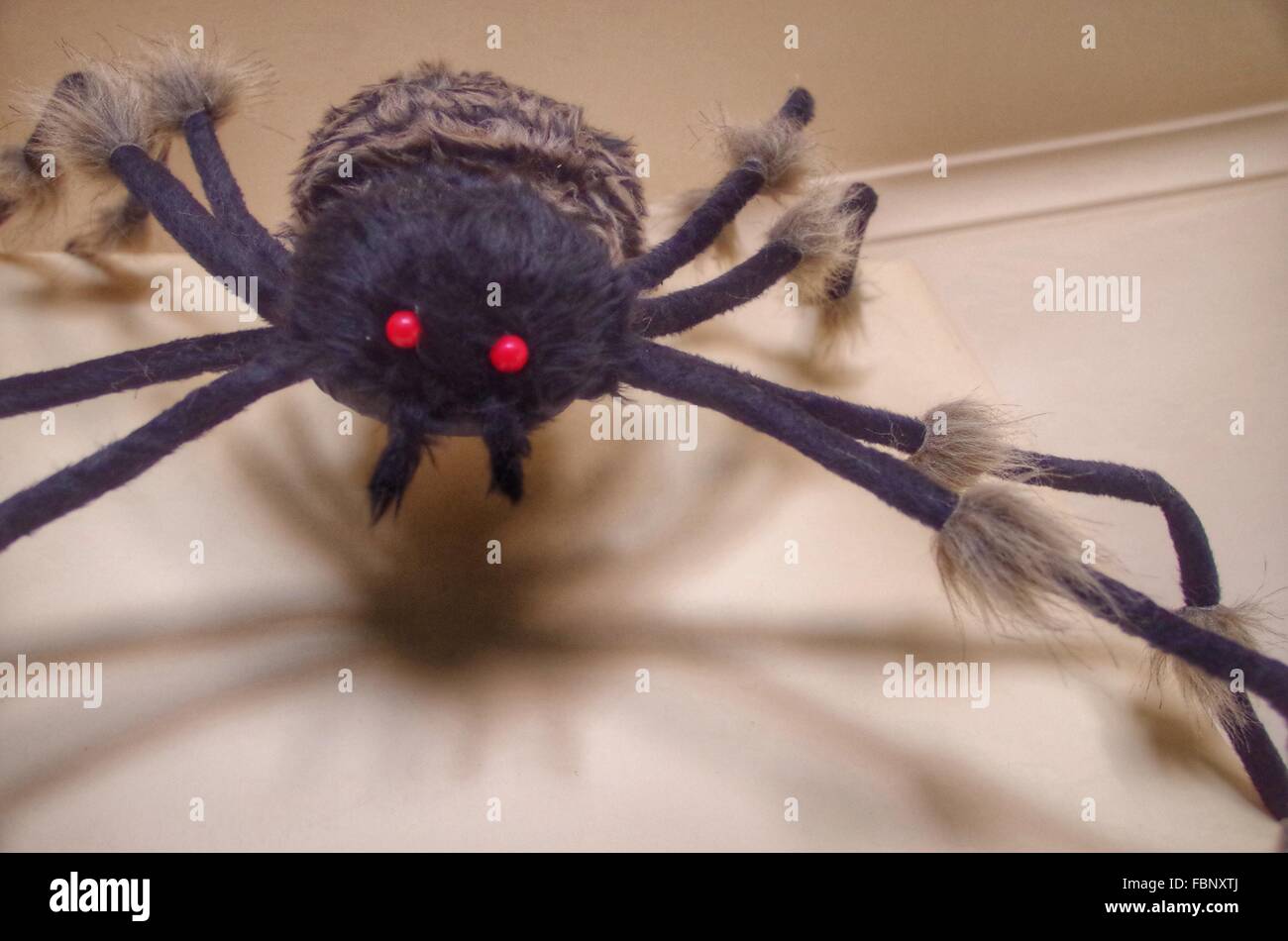 Spider stuffed animal hi-res stock photography and images - Alamy Spider stuffed animal hi-res stock photography and images - Alamy