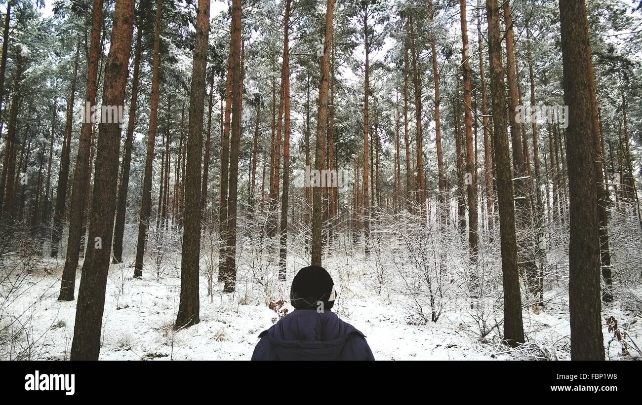 Person in the forest hi-res stock photography and images - Alamy