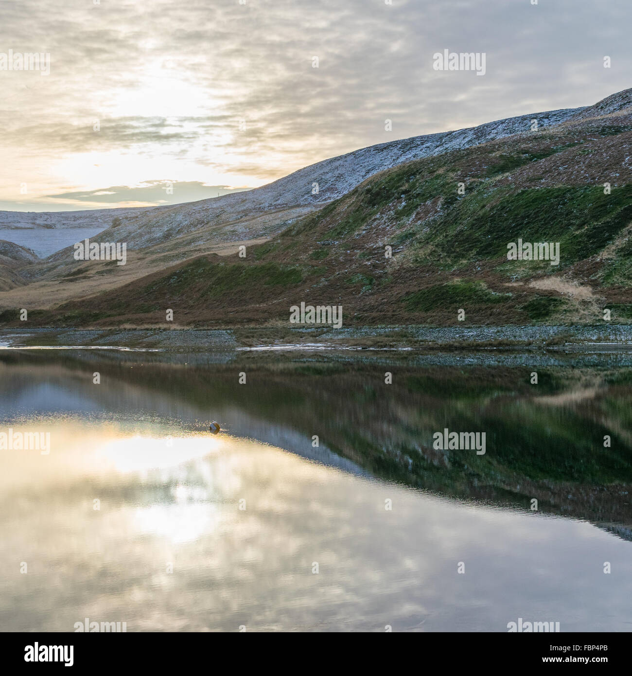My Image 21