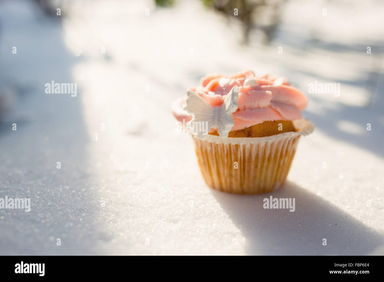Outdoor photo of cupcake decorated with a sugar butterfly. Cupca Stock Photo