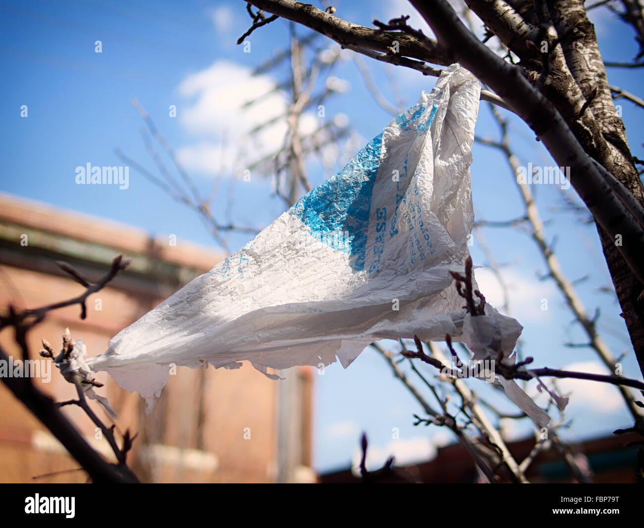 Plastic garbage bag resembles a flag as it has been cought in a tree Stock Photo