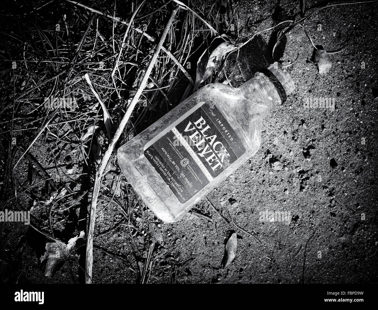 Discarded empty alcohol bottle in an abandoned plot of land in Detroit Stock Photo
