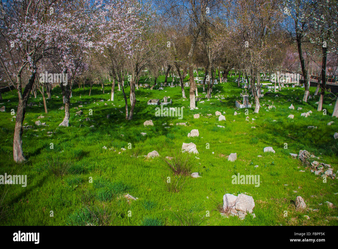 Visit nordjylland hi-res stock photography and images - Alamy