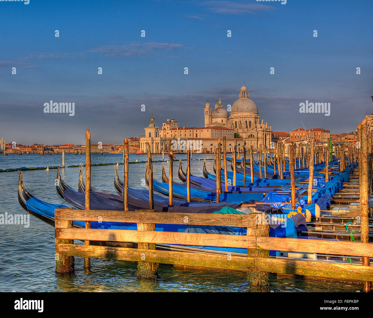 My Image 11