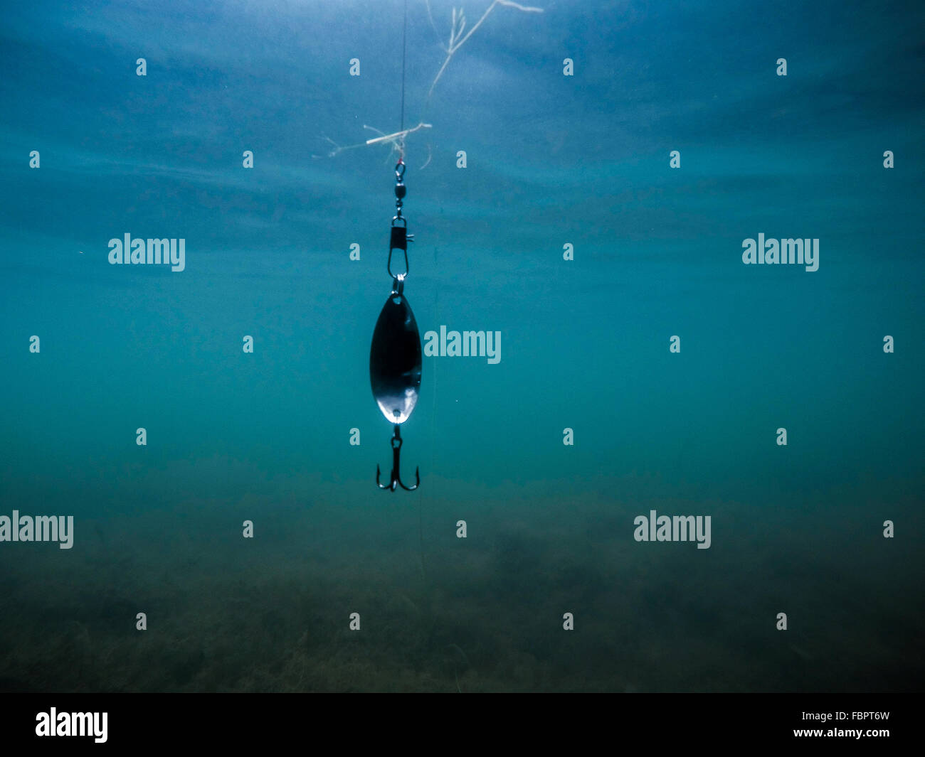 Fishing Lure Underwater View Stock Photo Alamy