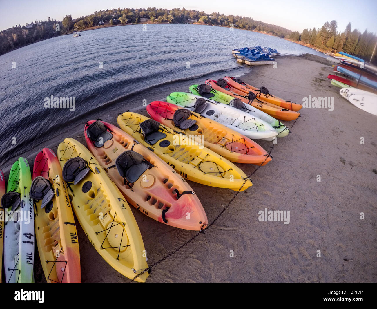 Paddle Boat and Kayak Rentals Stock Photo Alamy