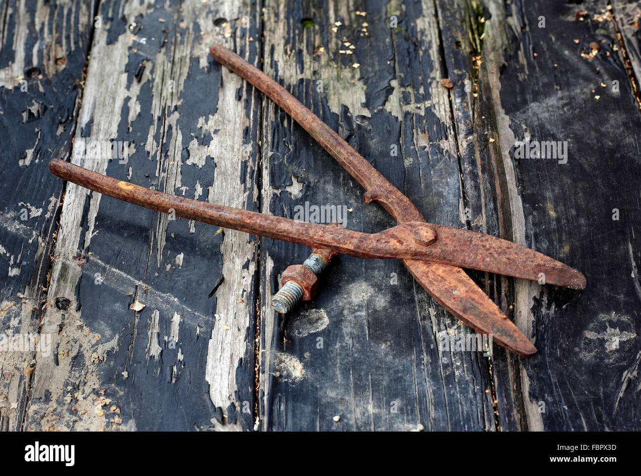 Old rusty scissors on metal on with the peeled black paint planks a background. Stock Photo