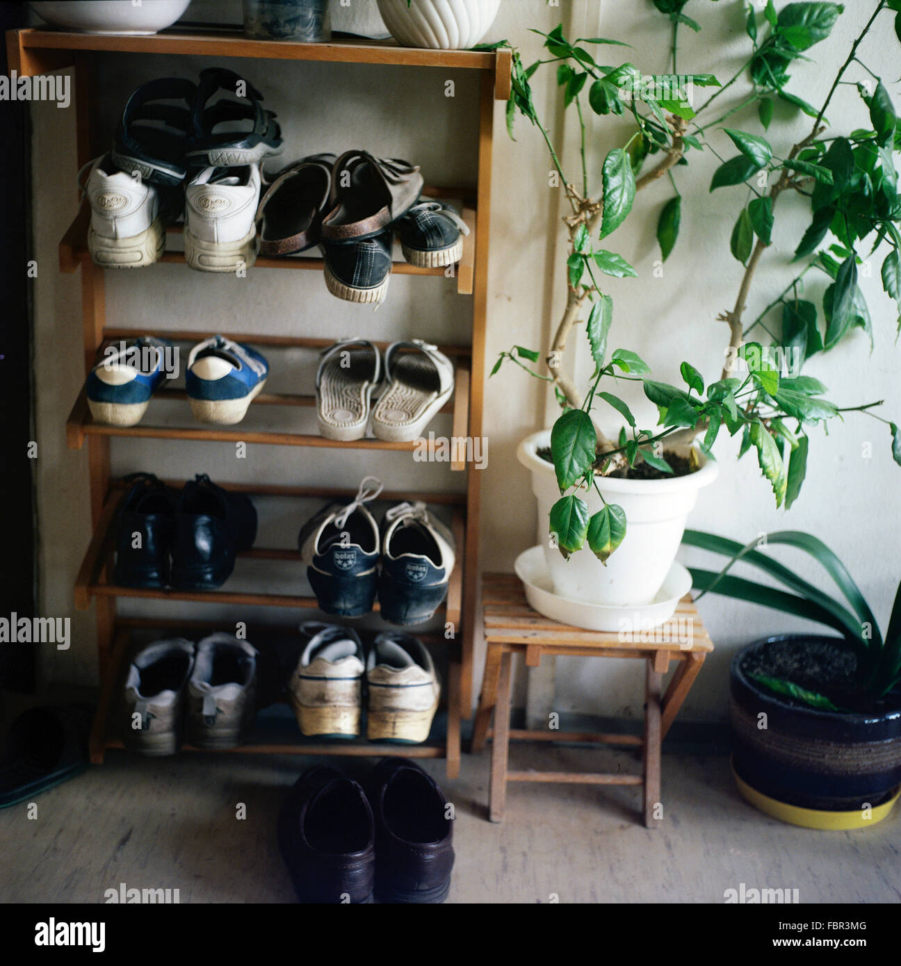 shoes in the shoe rack, shoe cabinet behind the door and flower in pot Stock Photo