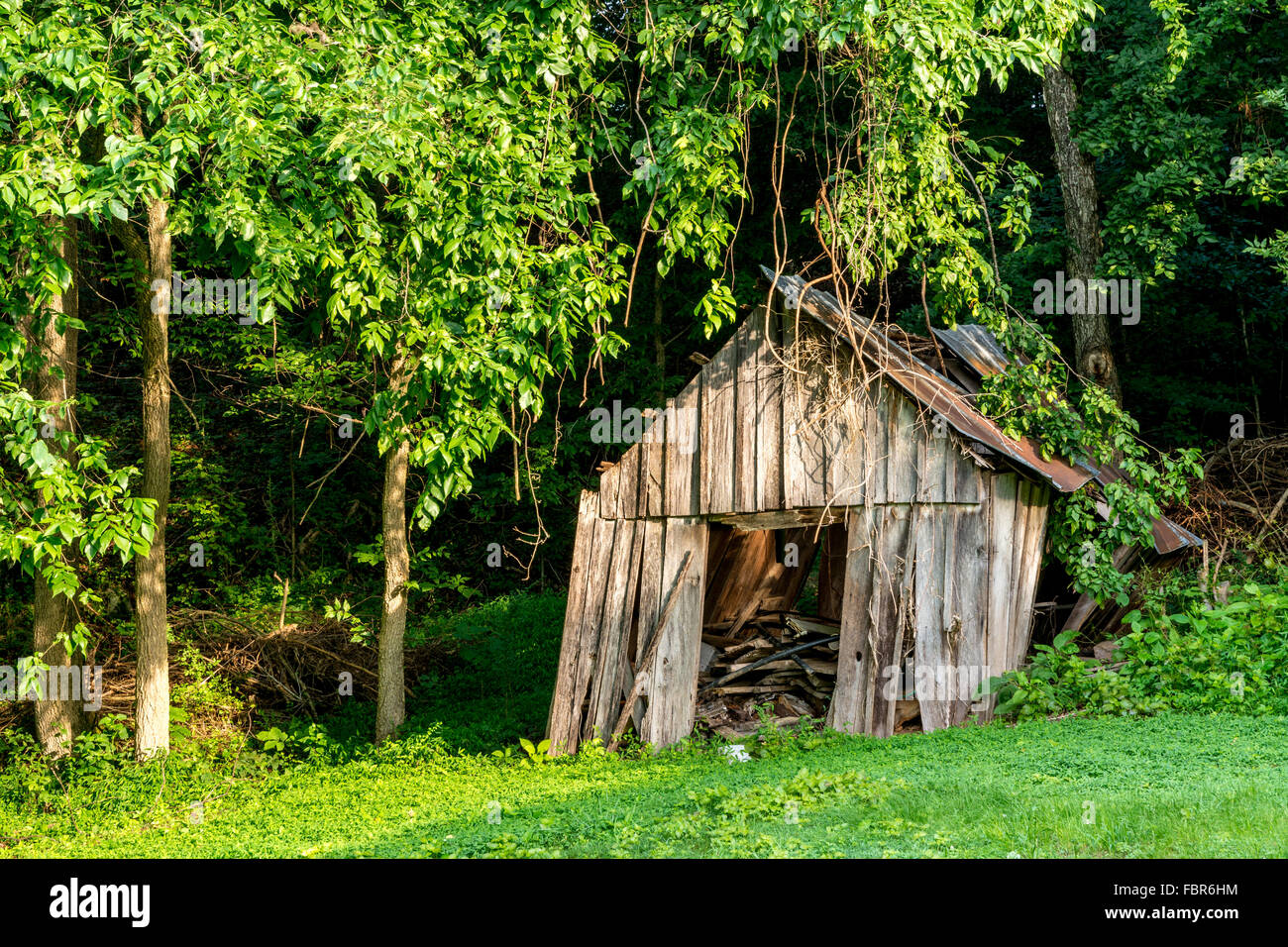 Abandoned shack in the country of Alabama Stock Photo - Alamy