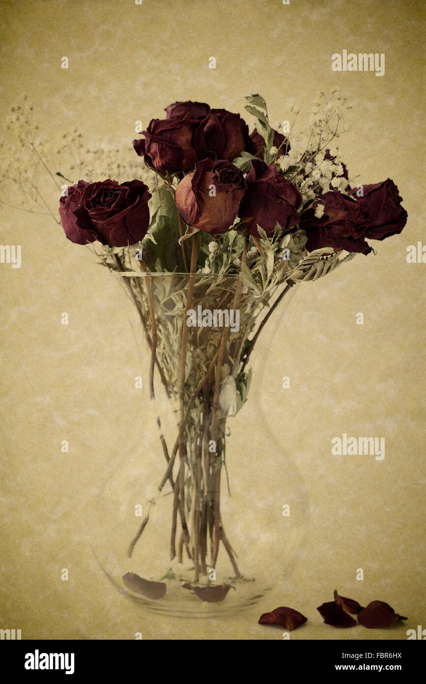 Bouquet of dried red roses in clear vase Stock Photo Alamy