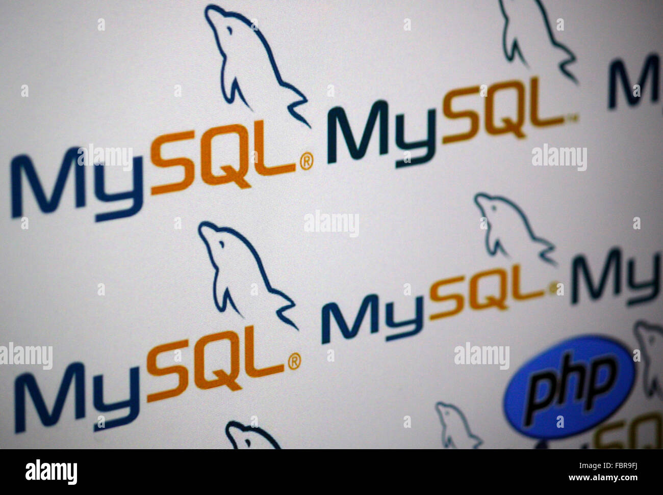 Php Mysql Logo