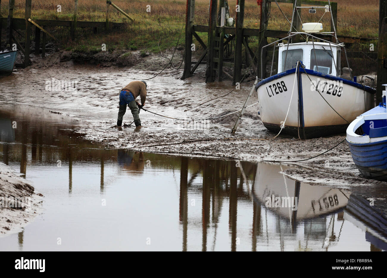 Fisherman checking his boat's moorings in a creek at Thornham harbour on the North Norfolk coast. Stock Photo