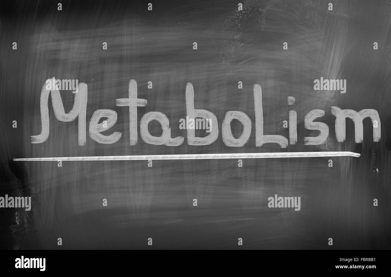 Metabolism Concept Stock Photo