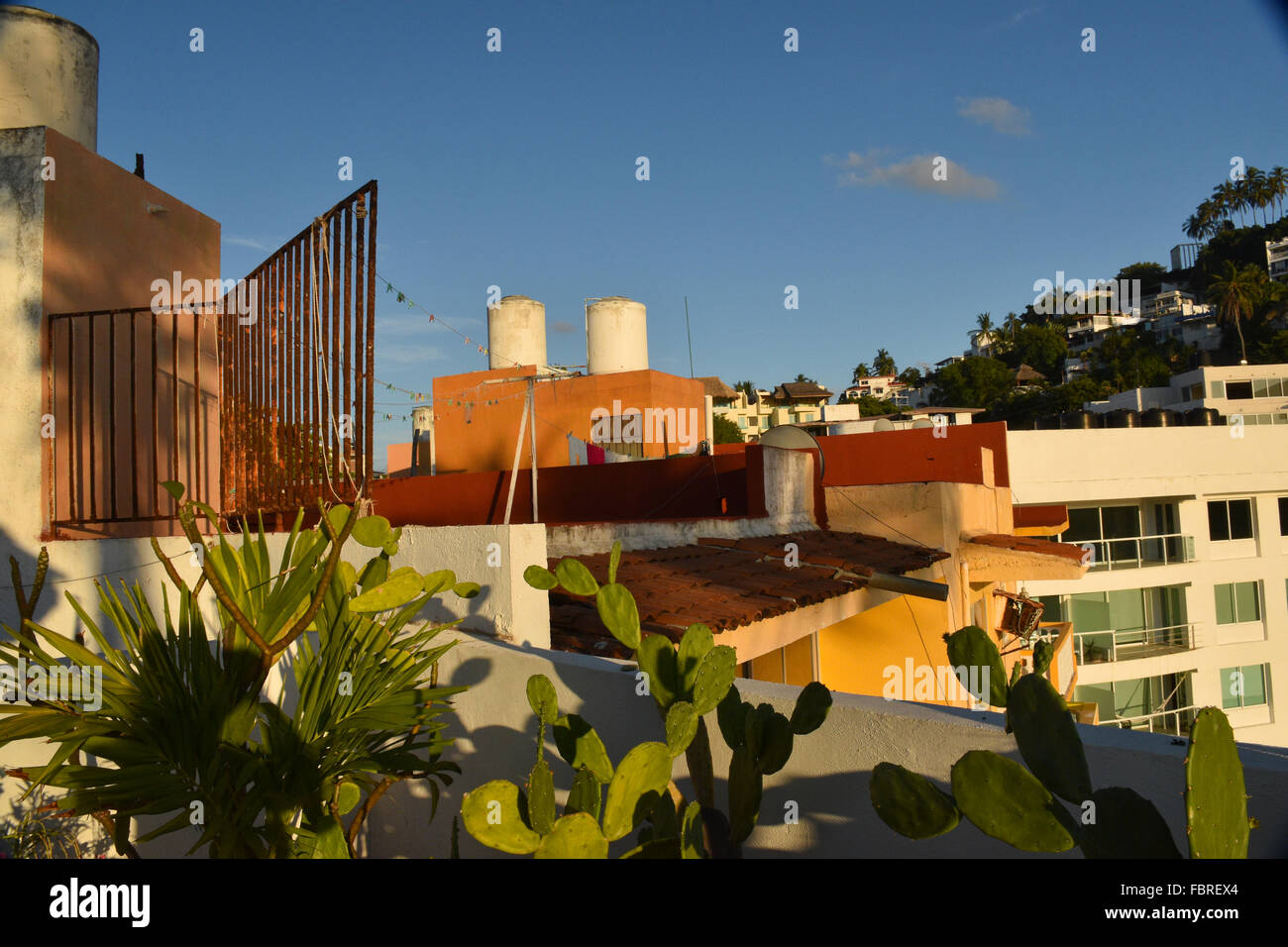 Water tanks on rooftops in Mexican city Stock Photo Alamy