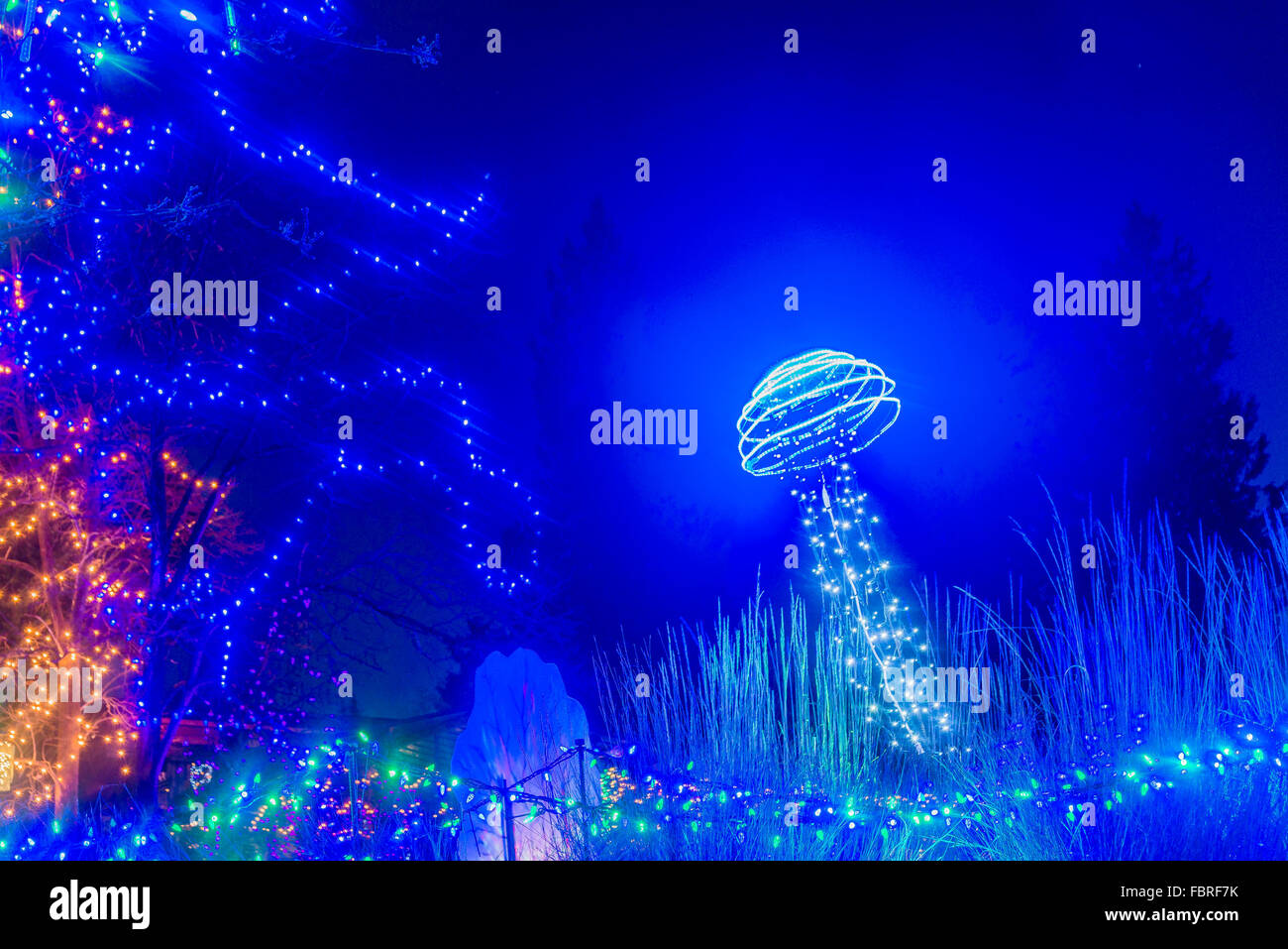 Christmas light display, Van Dusen Gardens, Vancouver, British Columbia, Canada Stock Photo Alamy