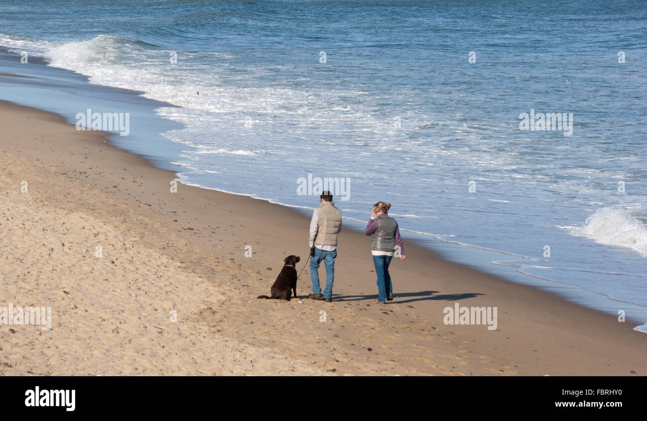 Mid adult couple with dog on beach. Nauset Light Beach, Cape Cod