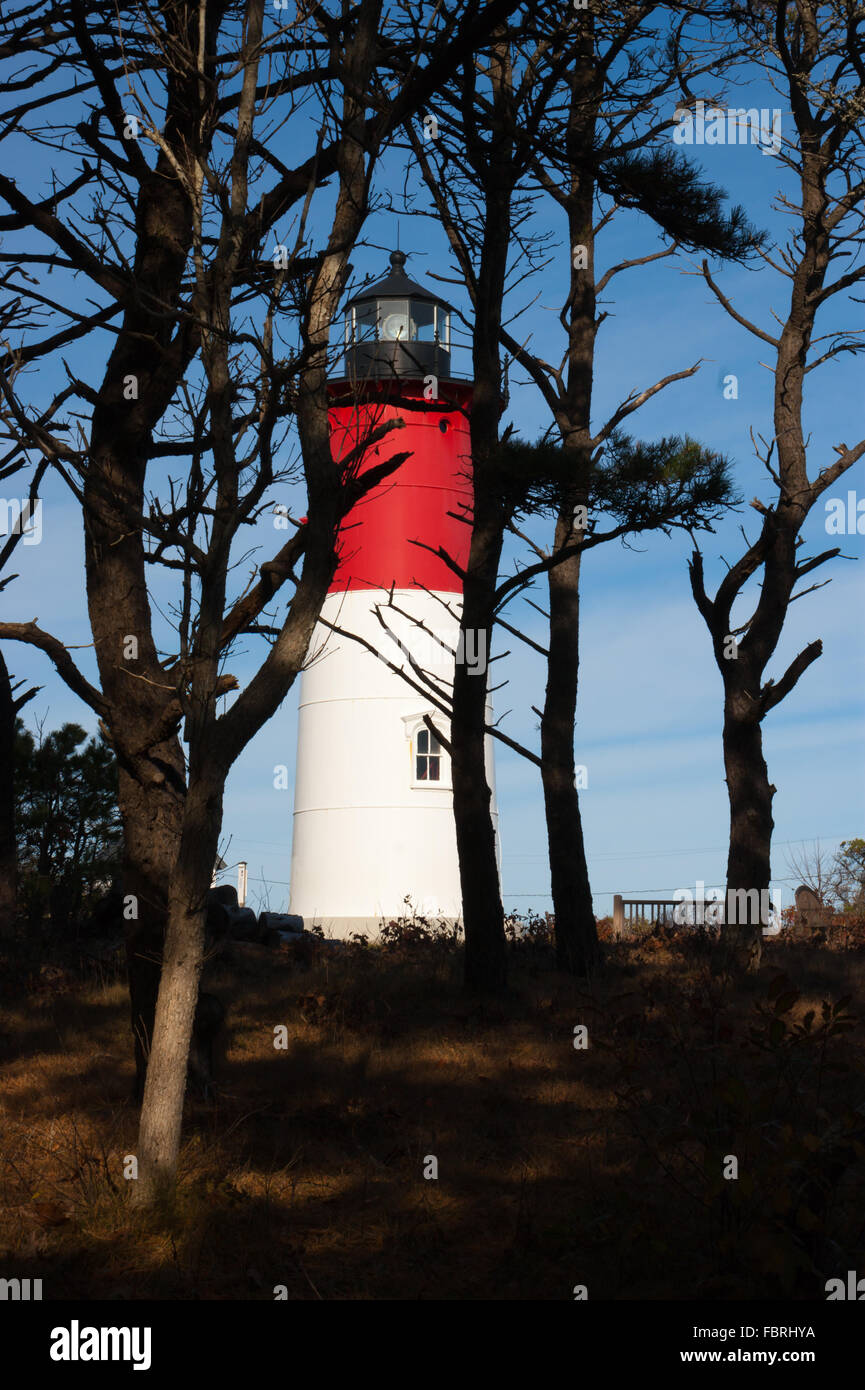 Nauset Light, a landmark lighthouse seen through pine trees, located along the Cape Cod National Seashore, in Eastham, MA, USA Stock Photo