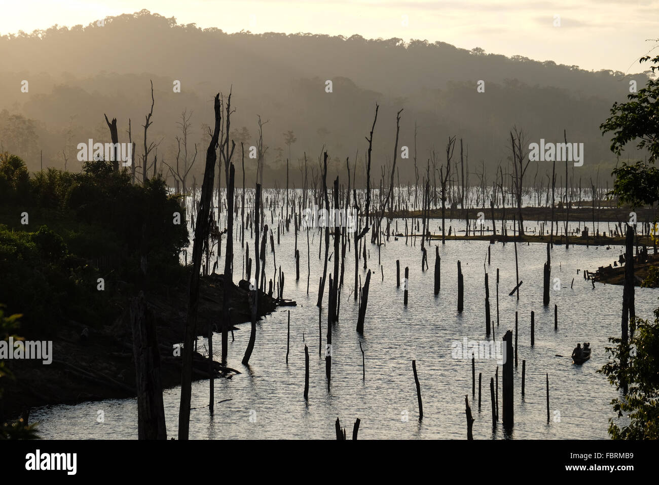 A dusk view of a sea of dead trees on the 3,500 million cubic metre capacity reservoir of the Nam Theun 2 Hydroelectric project, covering up to 450 square kilometres on the Nakai Plateau, Laos Stock Photo