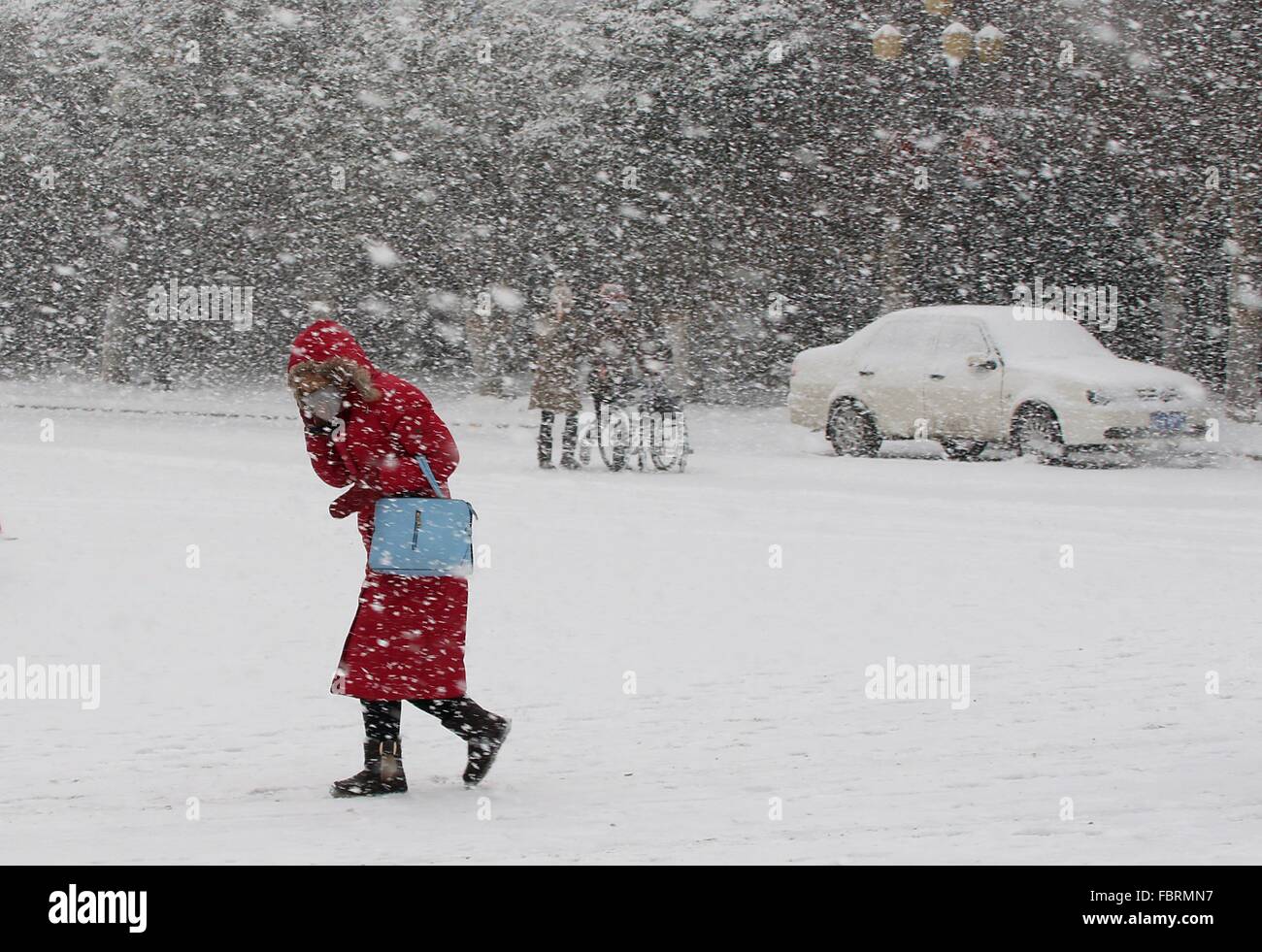 Одежда для бега на улице. Climate of usa png. Правда или ложь зимы в британии холодные. All the cold. A week in the cold.