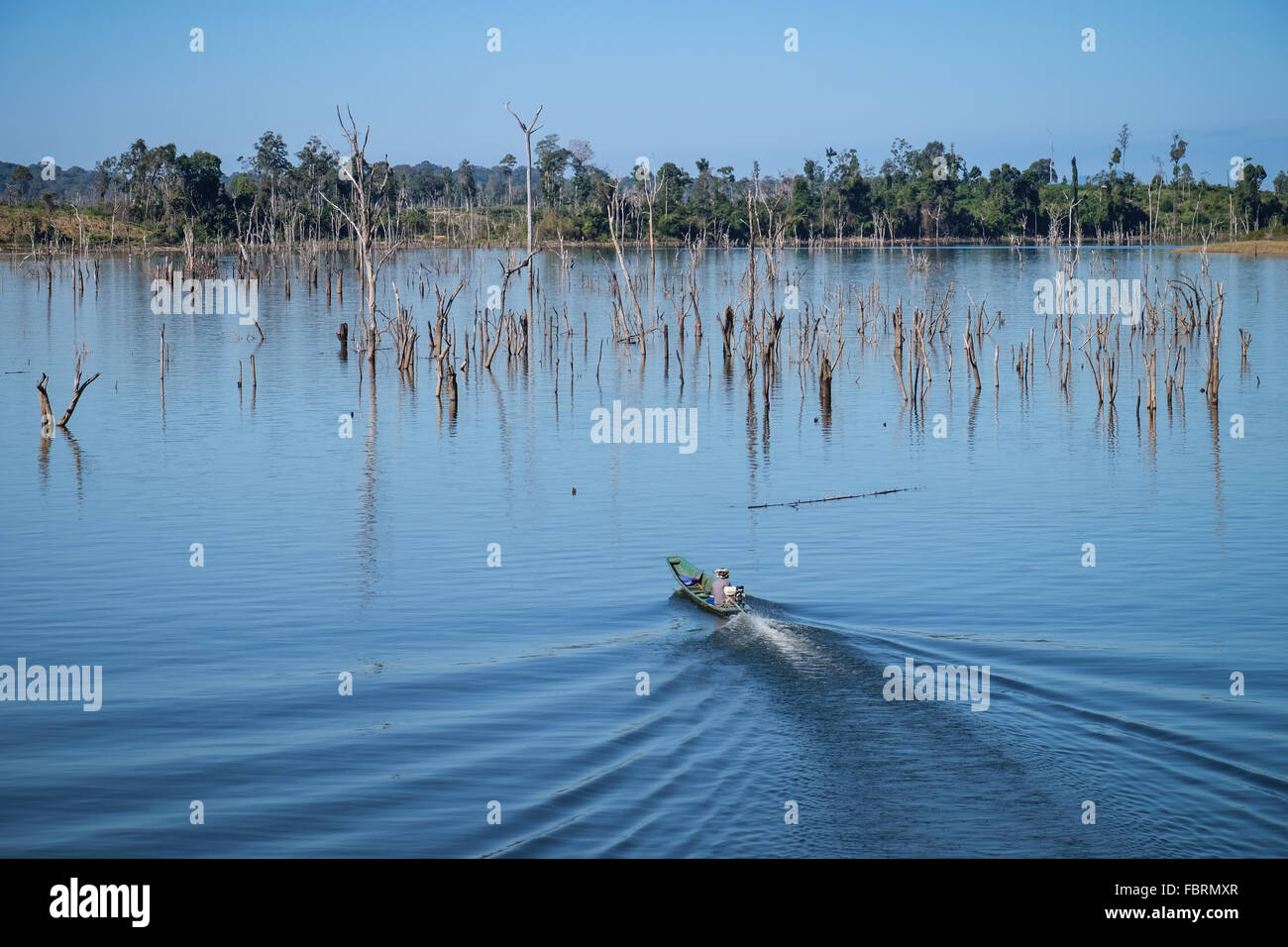 A view of a sea of dead trees on the 3,500 million cubic metre capacity reservoir of the Nam Theun 2 Hydroelectric project, covering up to 450 square kilometres on the Nakai Plateau, Laos Stock Photo