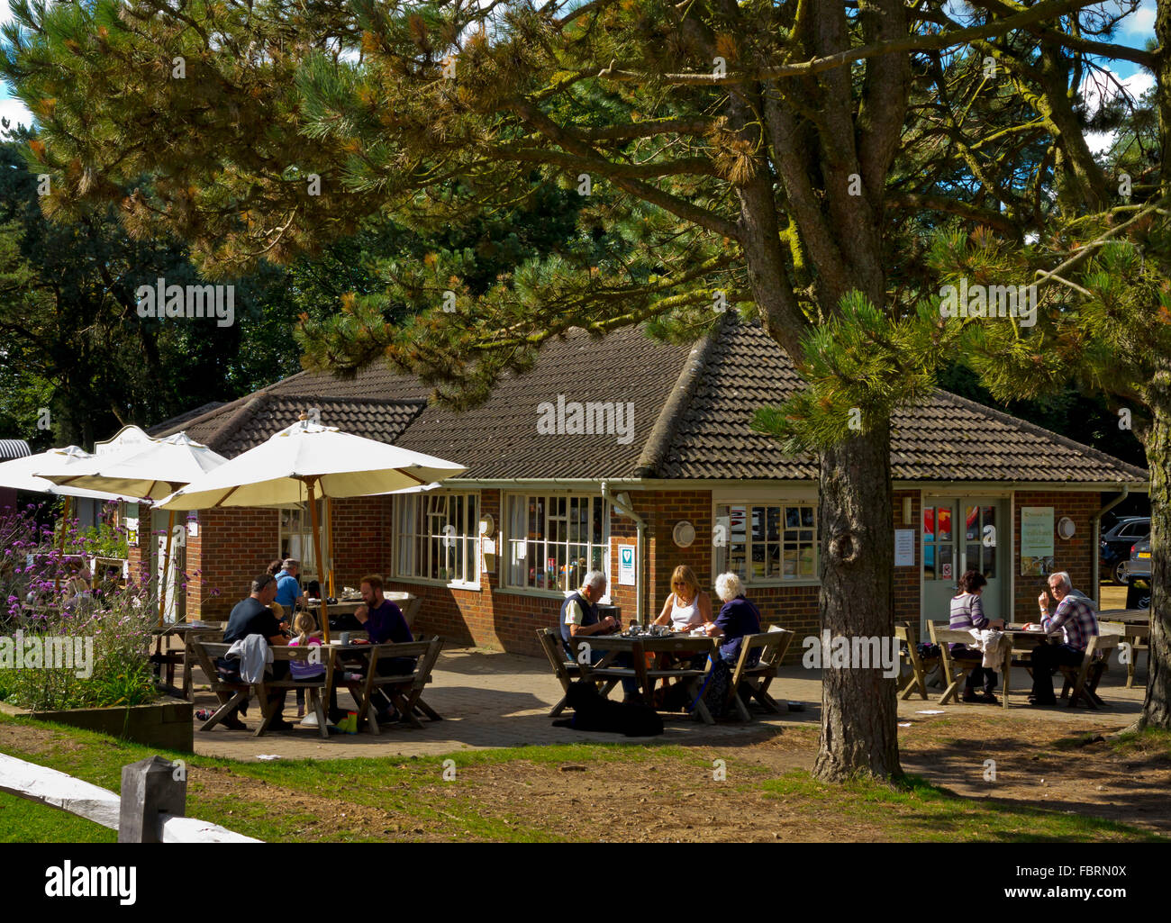 Spot of tea cafe hires stock photography and images Alamy