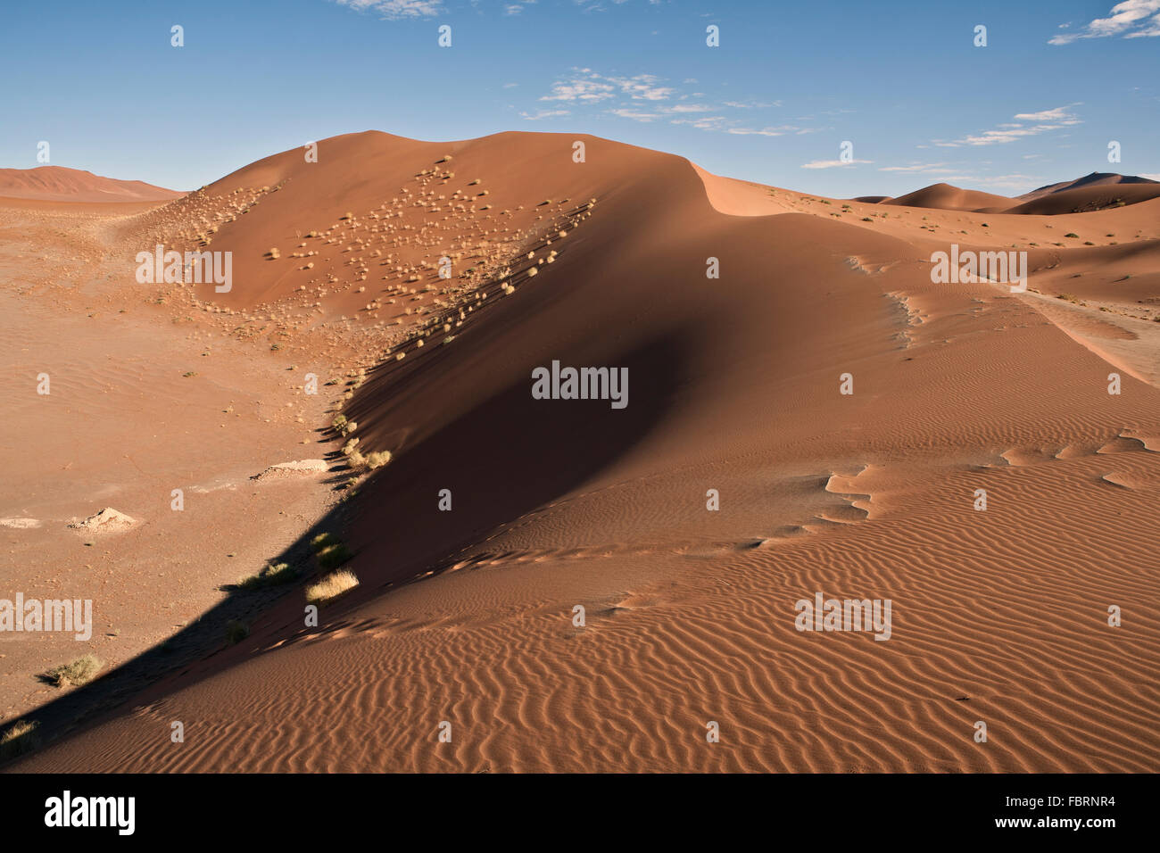 Sand dune in Namib Desert Sossusvlei area Namib Naukluft National Park ...