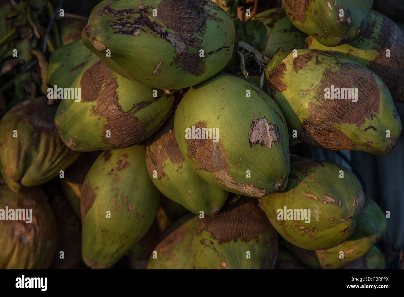 A bunch of fresh young green coconuts for sale on a roadside stall