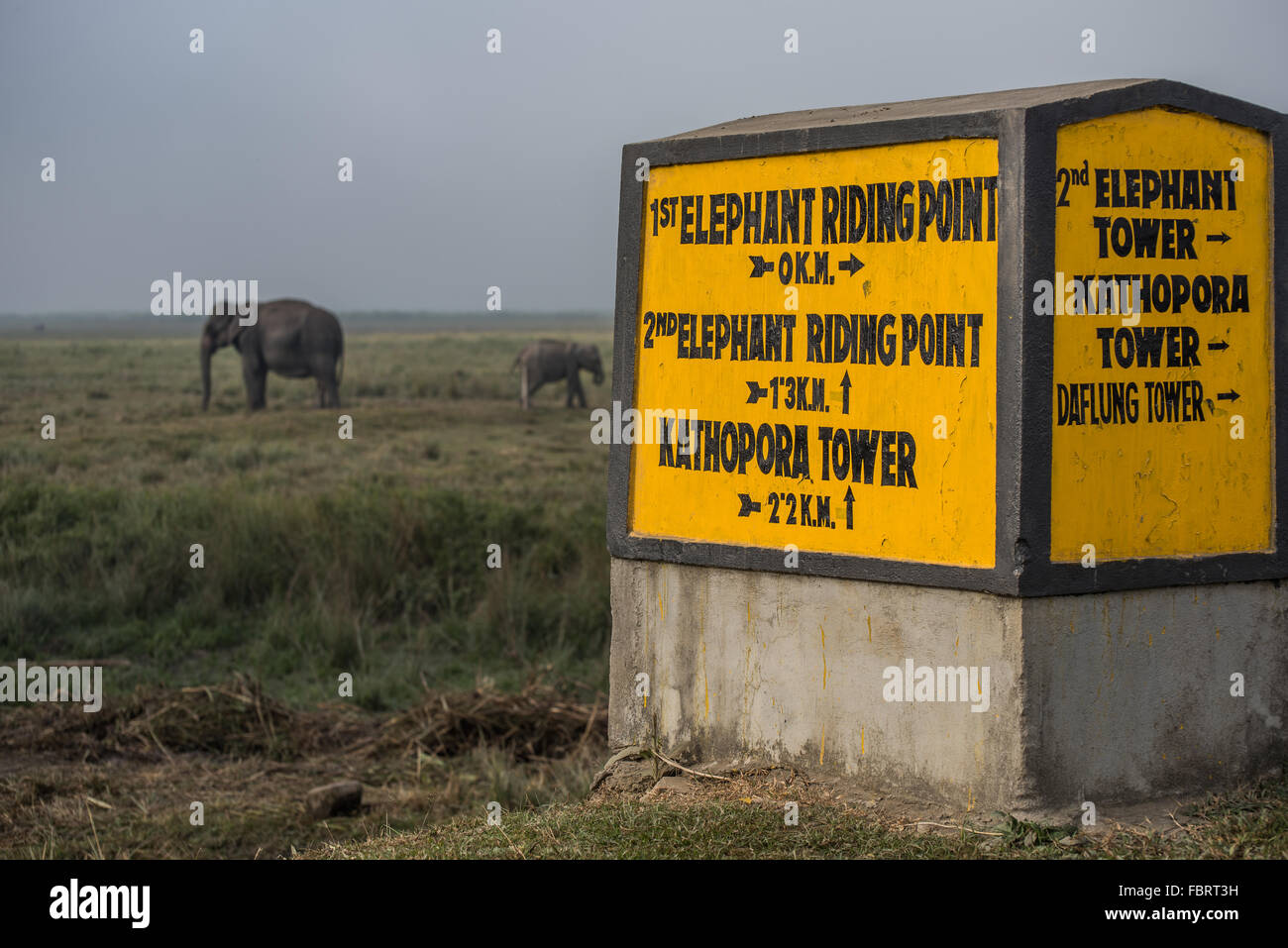 Two elephants in the distance and bright yellow Elephant Riding Point sign in the foreground. Kaziranga National Park, India Stock Photo