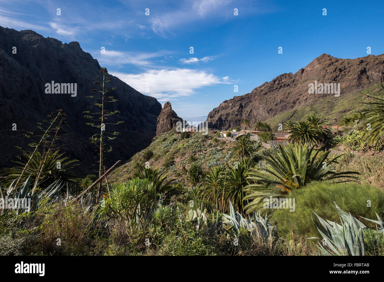 The village of Masca hidden in the Masca barranco on the west coast of Tenerife above the Gigantes cliffs, Canary Islands, Spain Stock Photo