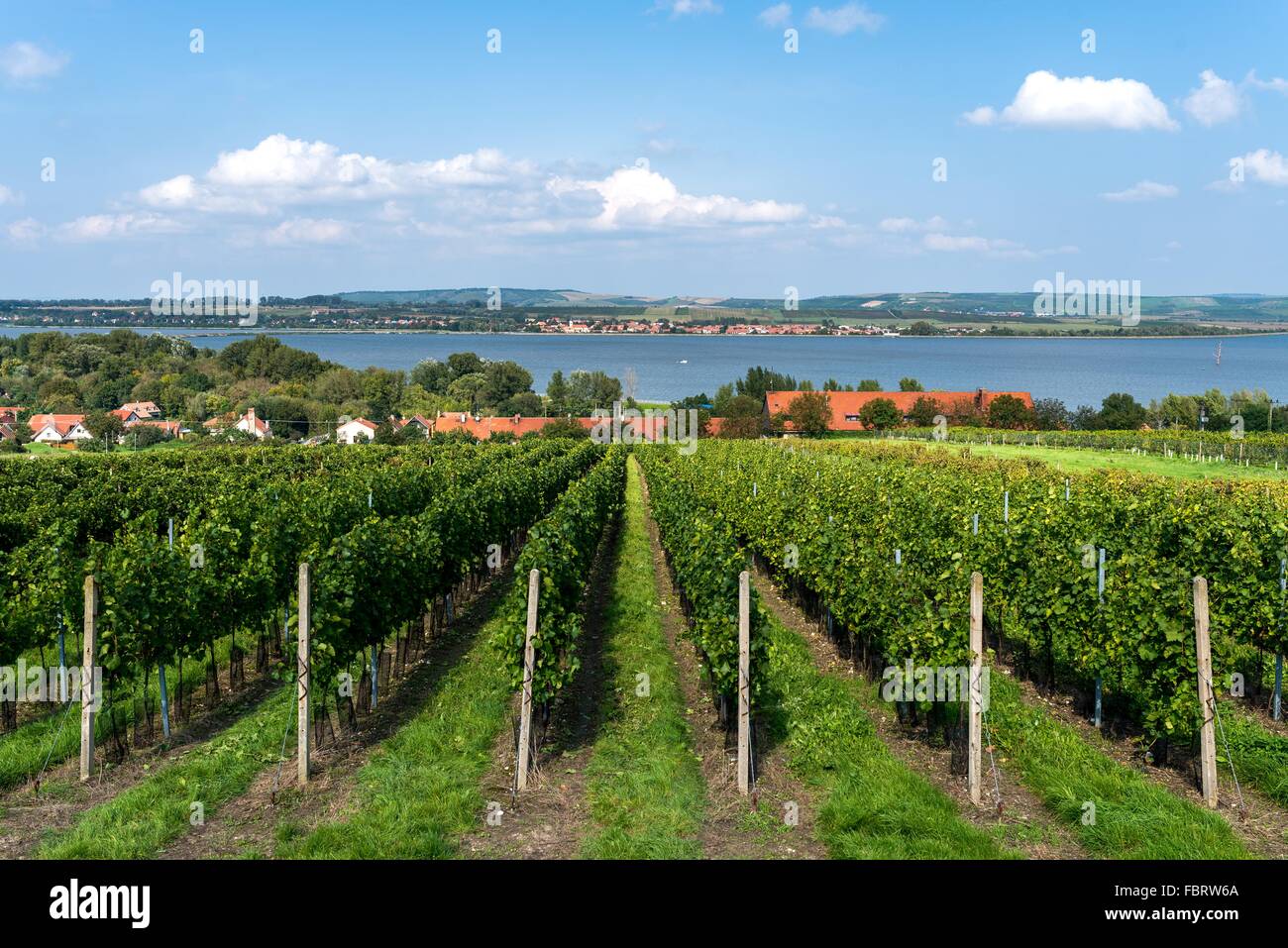 Dolni Vestonice, vineyard Stock Photo Alamy