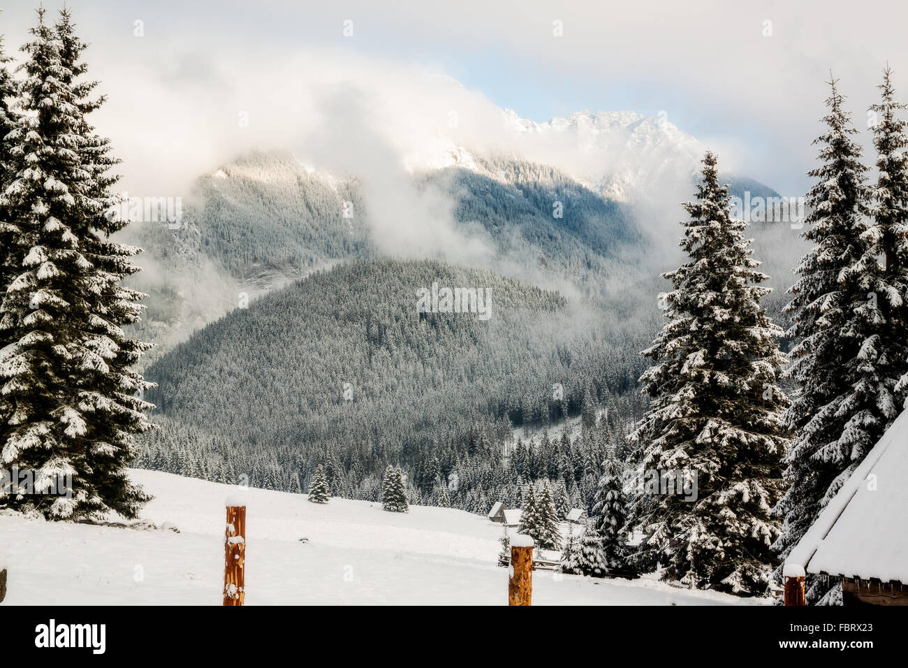 Beautiful winter scenery of Tatra Mountains, Poland Stock Photo - Alamy
