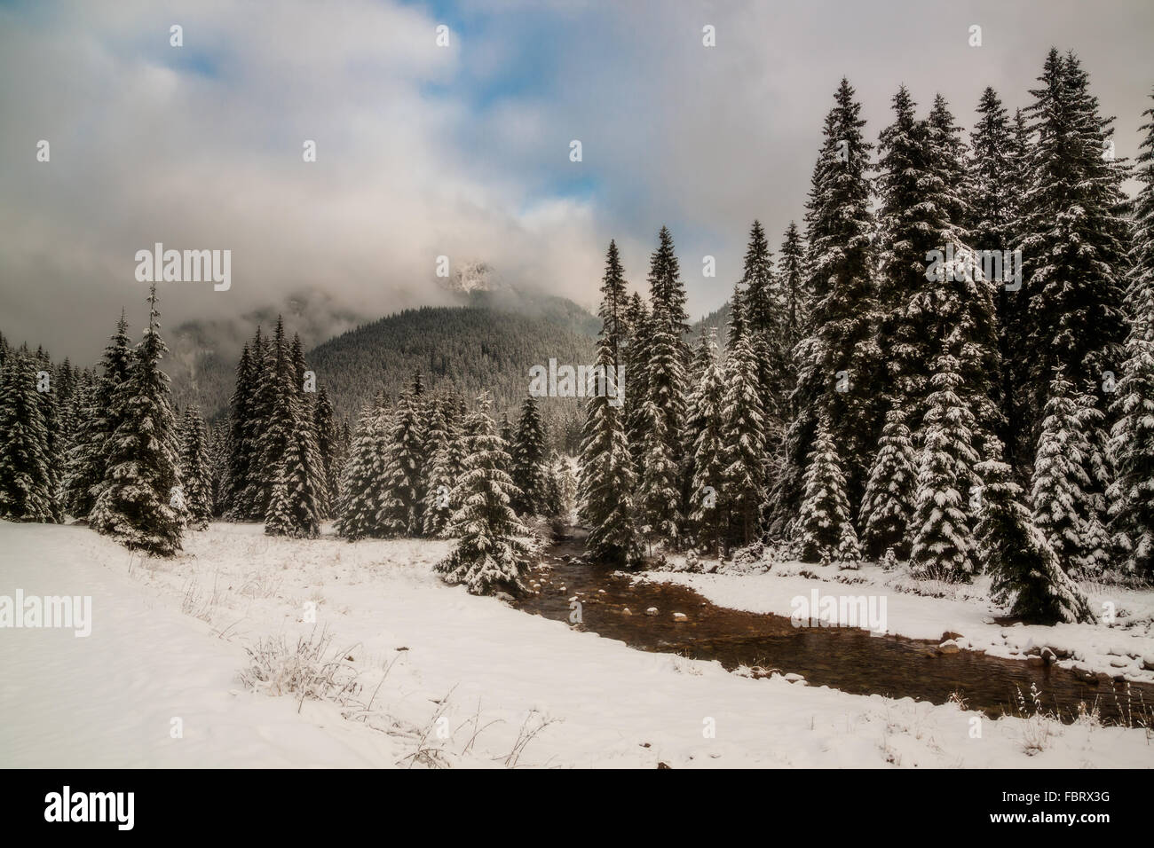 Misty winter day in Tatra National Park, Poland. Stock Photo