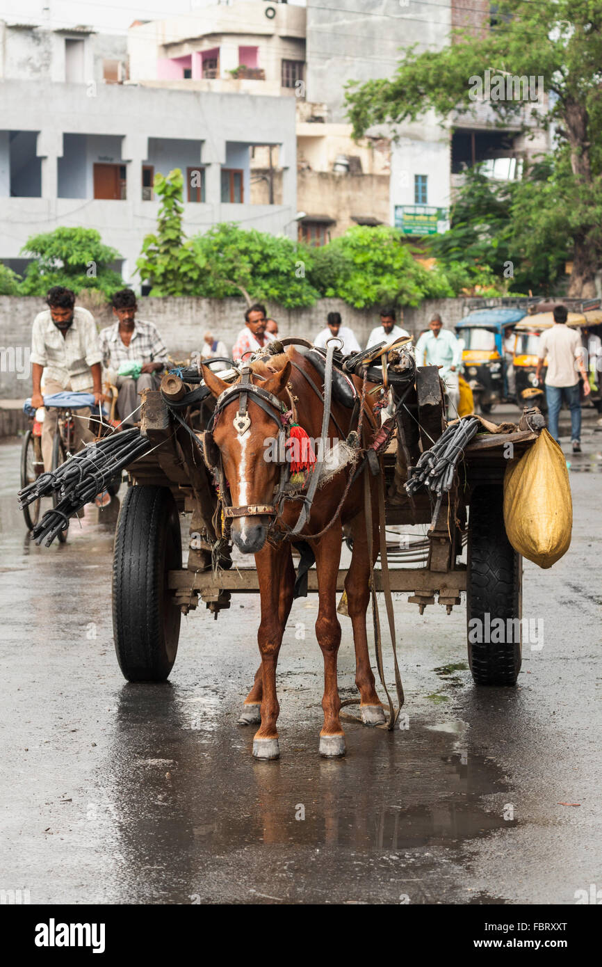 Horse cart, heavily loaded, waiting on the street in Amritsar, India. Stock Photo