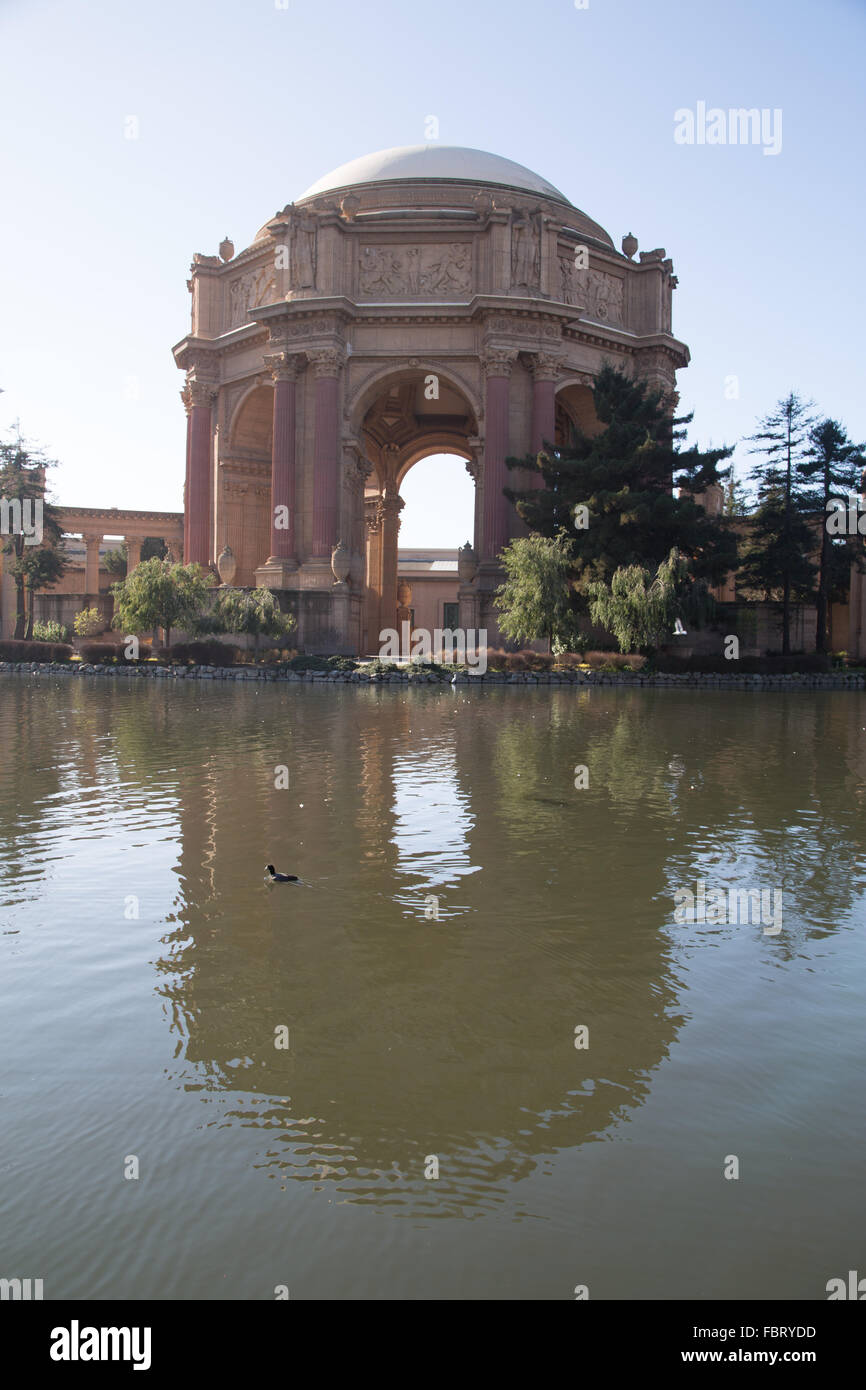 A capture of the reflection of the Palace of Fine Arts in San Francisco, with ducks swimming around in the foreground. Stock Photo