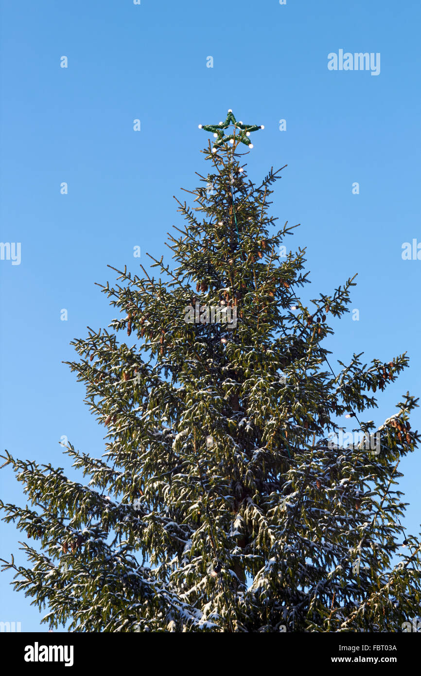 christmas tree outdoors against blue sky Stock Photo