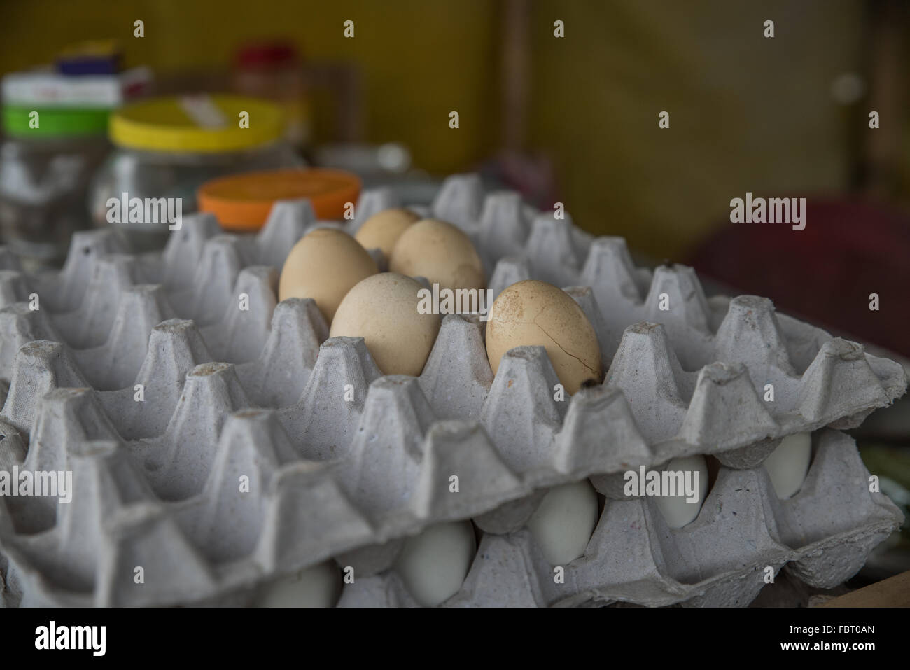 White and off white eggs in an egg box. Basic ingredients at a roadside food stall at the ferry point. Majuli Island Assam India Stock Photo