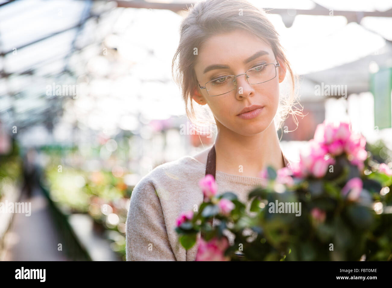 Beautiful concentrated young woman florist in glasses working with flowers in greenhouse Stock Photo