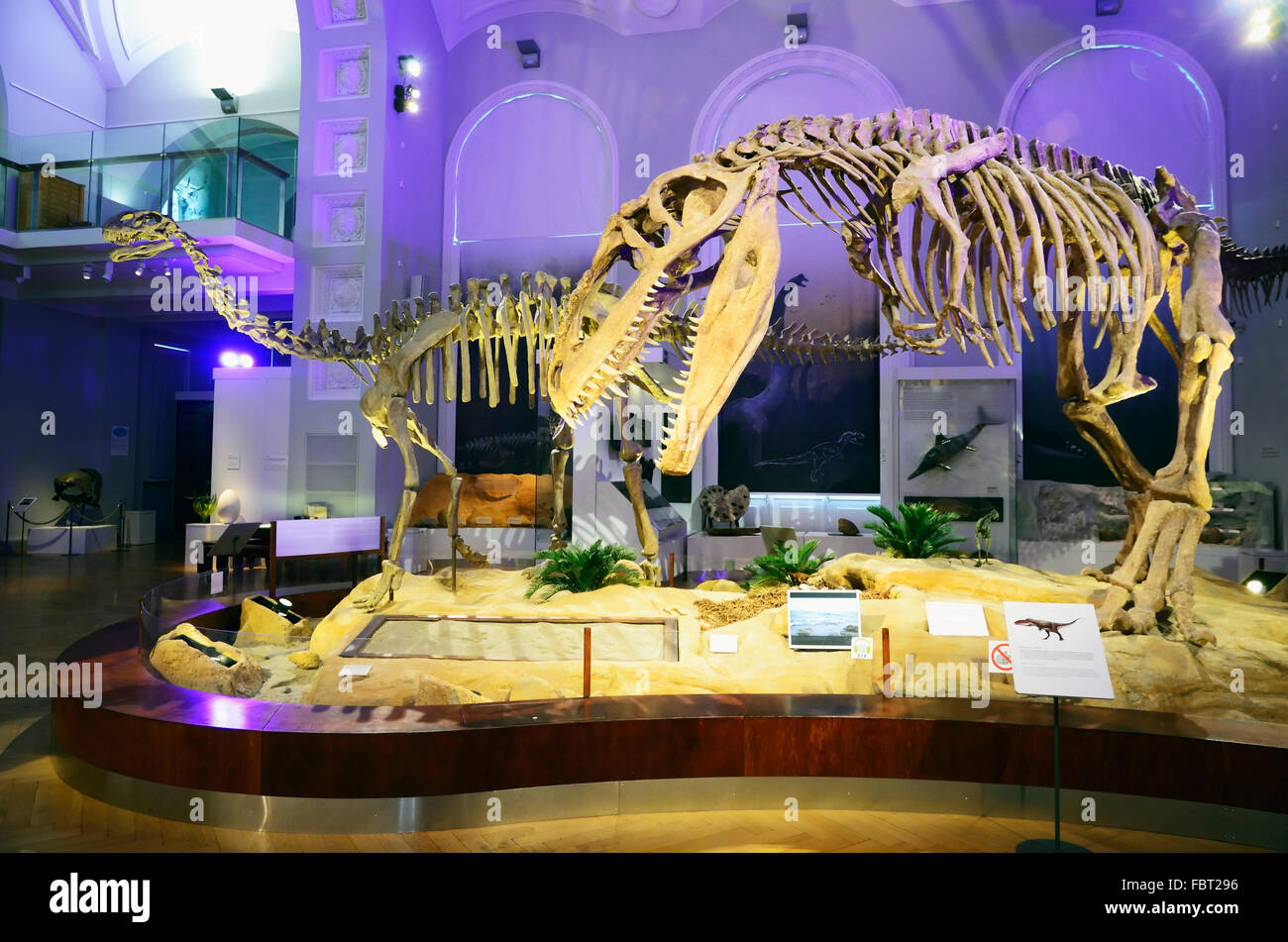 The Natural History Museum of Helsinki is an exhibition of the Finnish ...