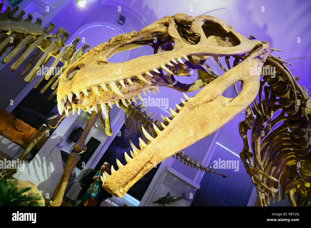 The Natural History Museum of Helsinki is an exhibition of the Finnish ...
