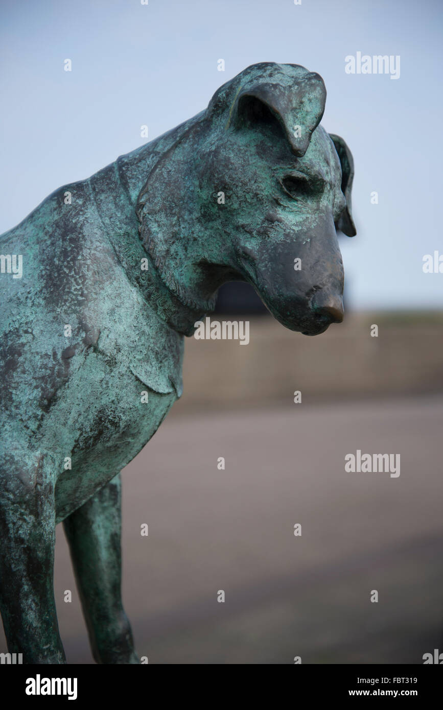 Dog bronze statue hires stock photography and images Alamy