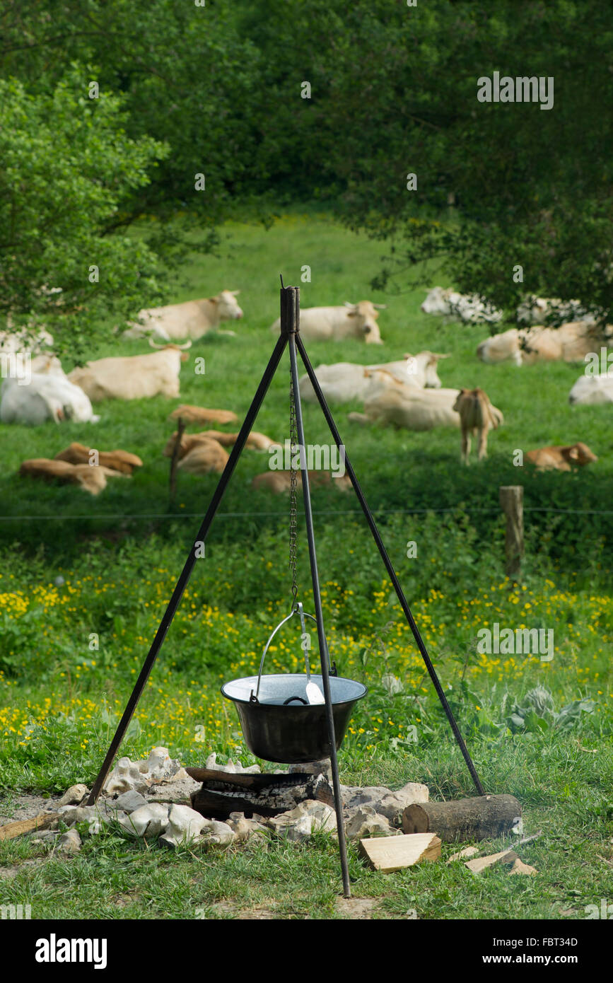 Pot hanging over campfire near pasture Stock Photo Alamy