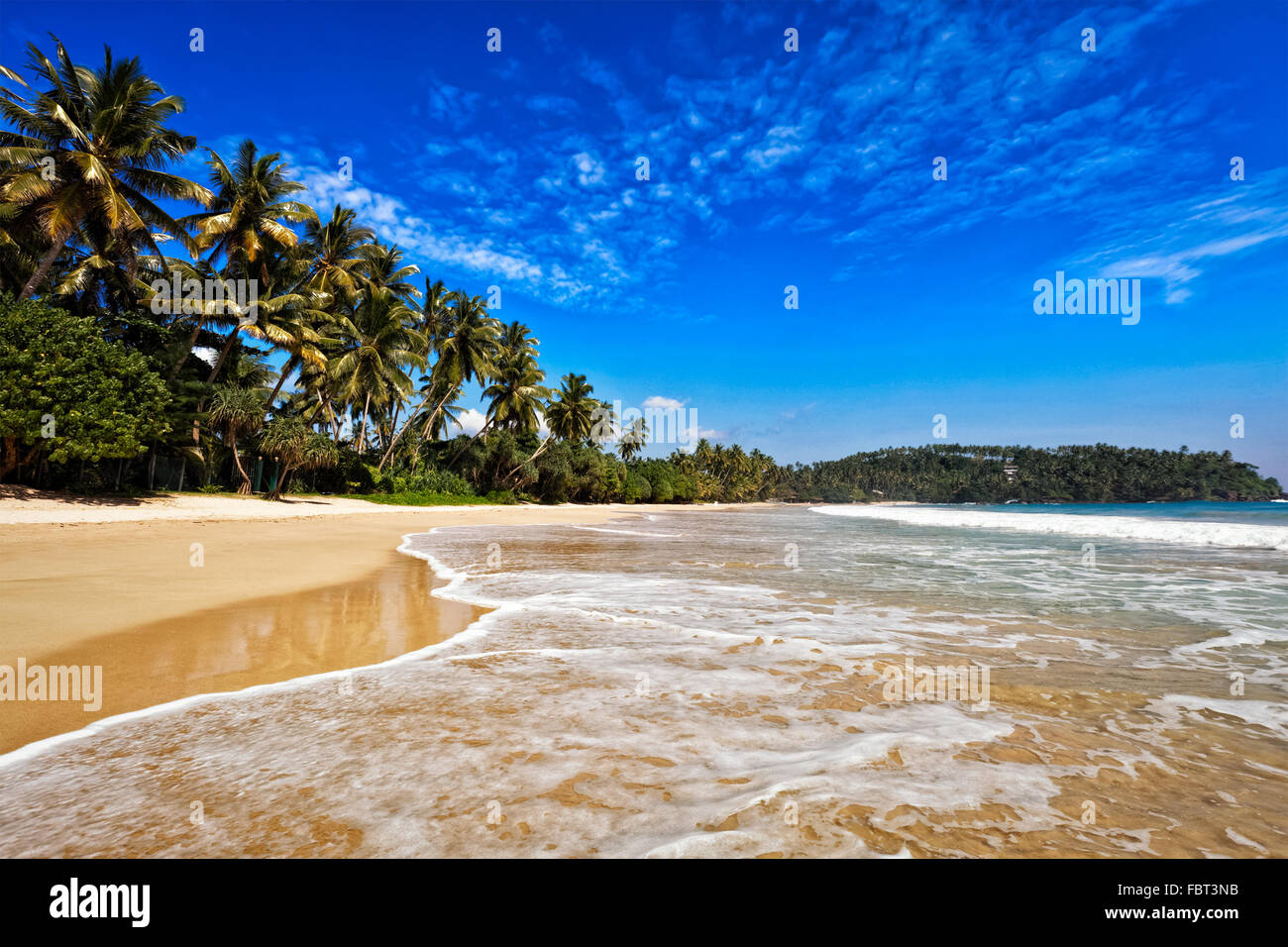 Idyllic beach. Sri Lanka Stock Photo