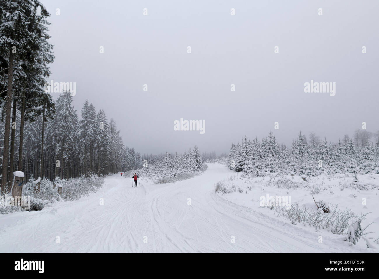 Crosscountry skiers in a scenic wintry landscape, Albrechtsplatz, Bad