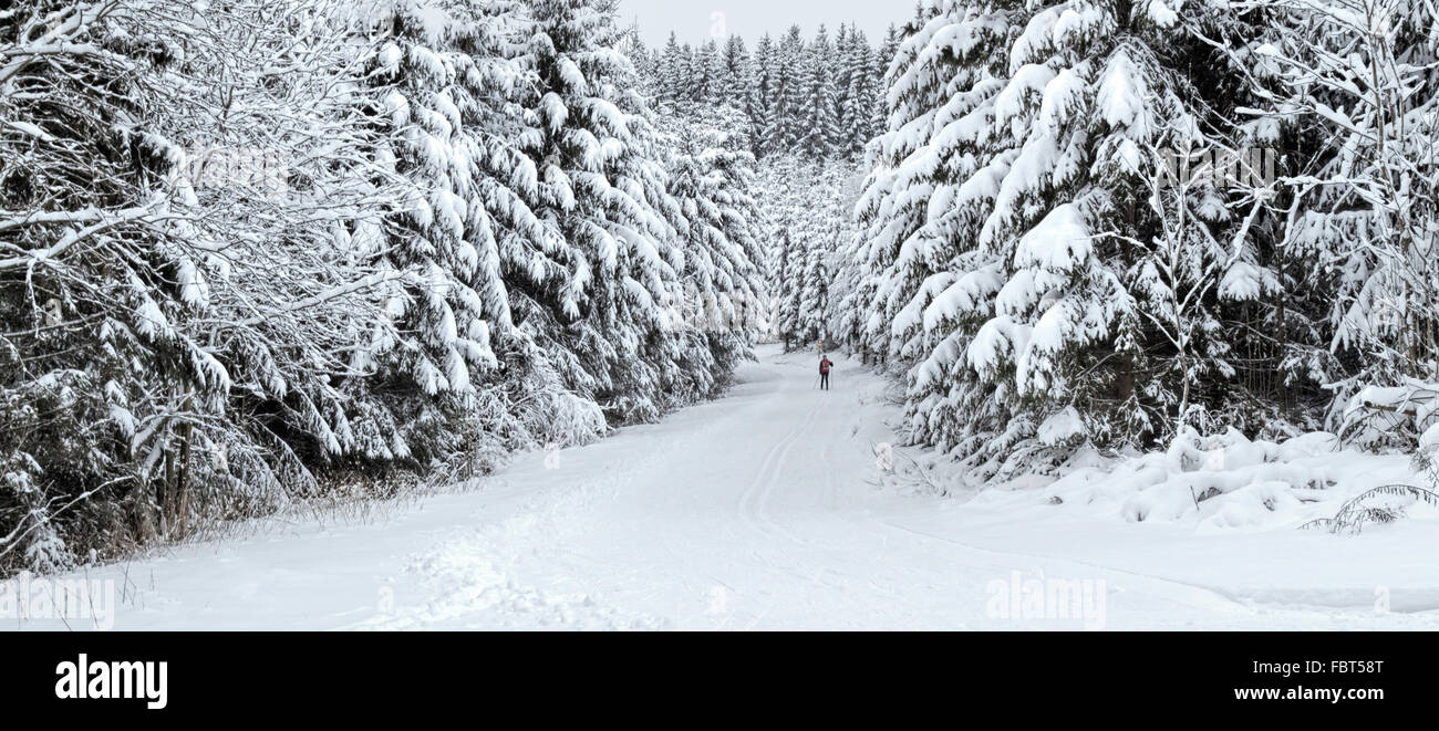 Crosscountry skiing in a scenic wintry landscape, Girkhausen, Bad
