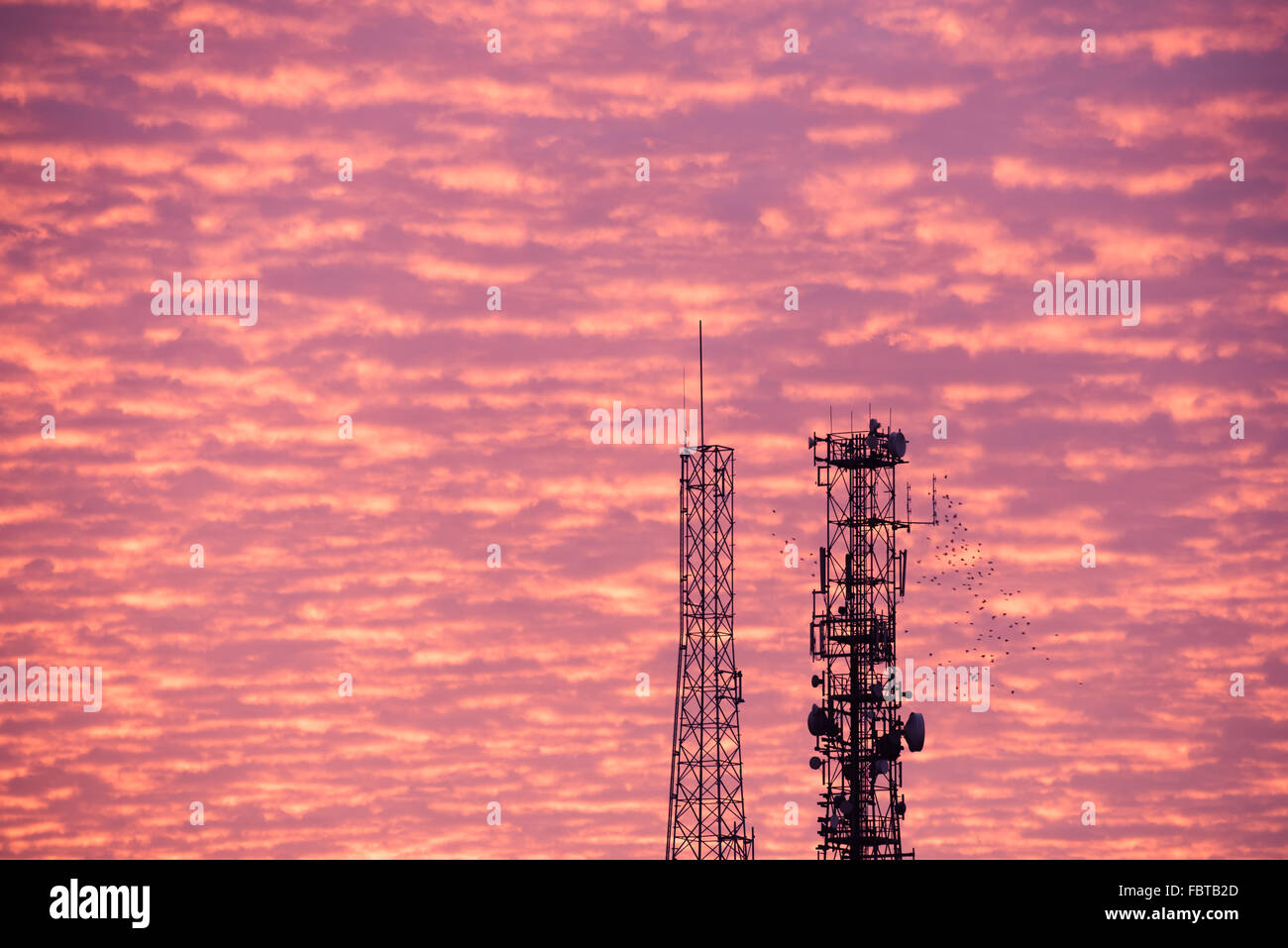 Dramatic sunrise with puffy altocumulus clouds, radio communication towers and flock of birds. Stock Photo