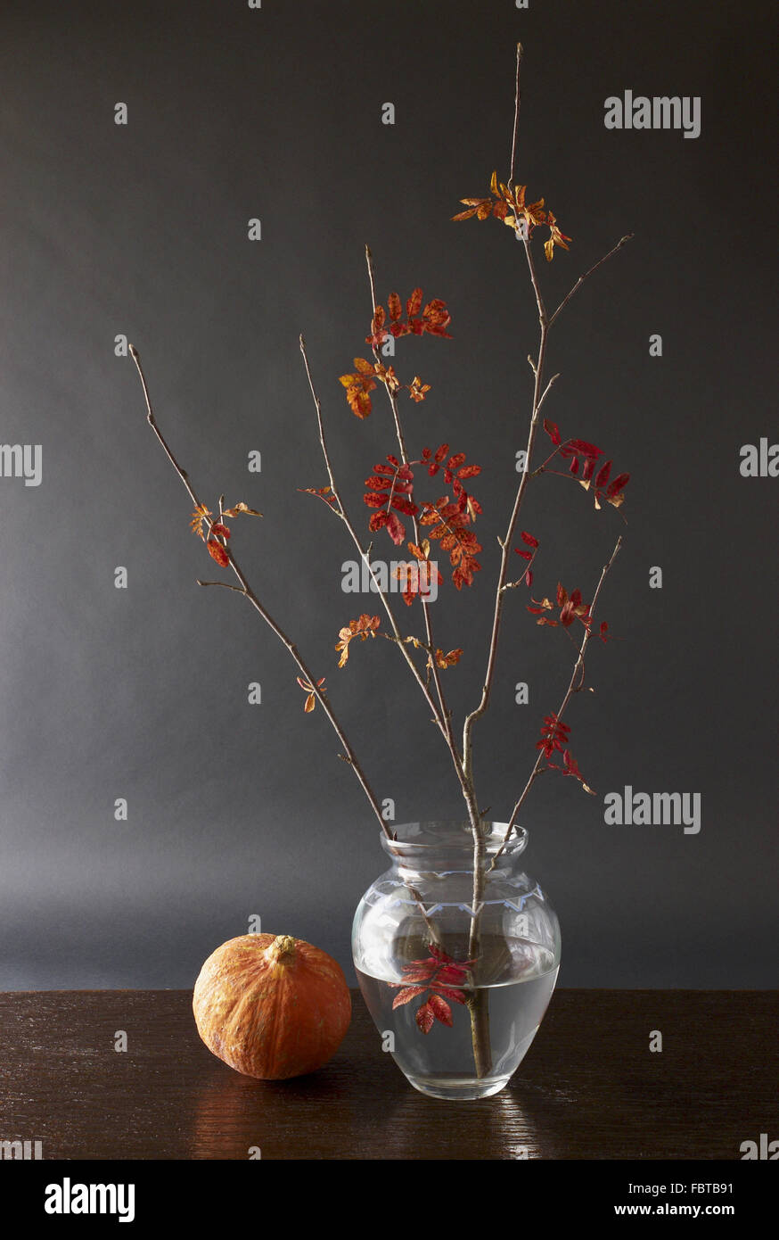 Autumn branch and pumpkin Stock Photo